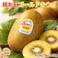 【超大玉】 ゴールドキウイ 大玉 キウイフルーツ 甘い ジューシー 高糖度 お取り寄せ フルーツ 産地直送 …