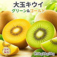 【大玉】ゼスプリキウイ 食べ比べセット グリーンキウイ ゴールドキウイ 大玉 1kg 2kg 3kg 送料無料 キウ…