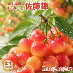 �y���G�z�R�`���Y ������ 100g / 500g / 1kg M�`2L �������� �M�t�g �����p ������ �������� �����x