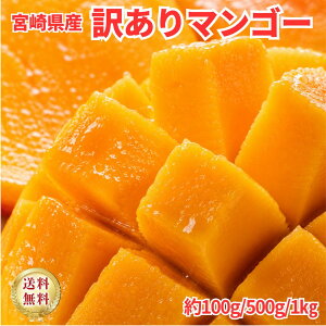 �y�󂠂�z�{�茧�Y�}���S�[ �ƒ�p 0.5kg�` �������� �s���� ���n�}���S�[ B�i