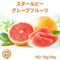 スタールビーグレープフルーツ 2kg 3kg 4kg 5kg 6kg 7kg 15kg 南アフリカ産　送料無料 35個 40個 ルビー …
