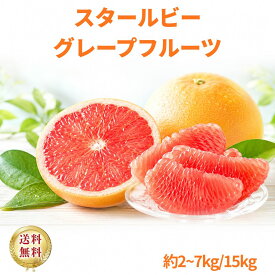スタールビーグレープフルーツ 2kg 3kg 4kg 5kg 6kg 7kg 15kg 南アフリカ産　送料無料 35個 40個 ルビー グレープフルーツ 柑橘 フルーツ 果物