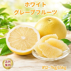 大玉ホワイトグレープフルーツ 2kg 3kg 5kg 7kg 14kg 送料無料 グレープフルーツ 柑橘 フルーツ 果物　南アフリカ産