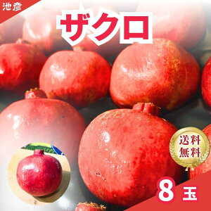 AJUN/gbsO/UNT_/[Og/NX}Xt[c/ʃUN