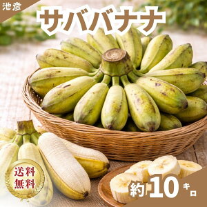 �y�t�B���s���Y�@���������z�T�o�o�i�i�@�J���_�o�o�i�i�@���H�p�@��10�L���@�����p�@��������o�i�i