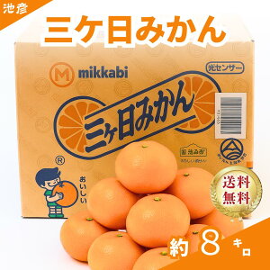 OP݂/Â݂/Mtgt[c/É݂//~J/Di/