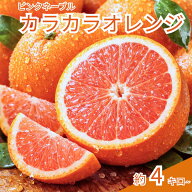 カラカラオレンジ（ピンクネーブル）約4kg~｜みかんのように食べやすい柑橘｜ほんのりピンク果肉｜甘いオ…
