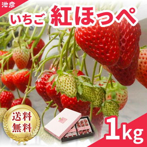 ÉY gق  Hp1L@@Mtg@Ε@Y