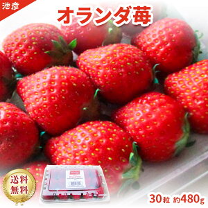 I_Y I_ Hp 30 480g