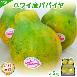 ppC@nCY@5kg t[c/Mtg/ςς