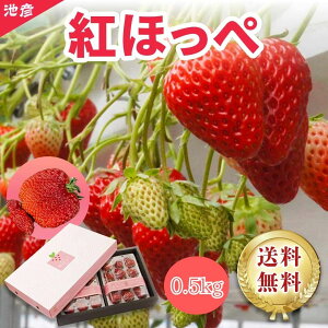 ÉY gق  Hp 0.5kgMtg@@v~A@Ε