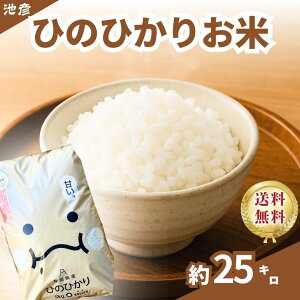 yߘa7NYVāz25L@Â݂ƔS̉oXBHׂAЂ̂Ђ@ÉY