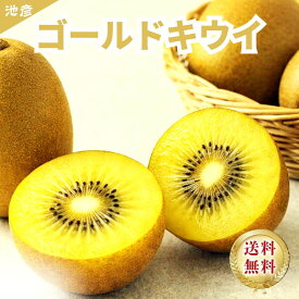 ゴールドキウイ 贈答 ギフト 高級フルーツ キウイフルーツ 甘い ジューシー お取り寄せ 果物 産地直送 プレゼント