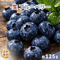 【生ブルーベリー】 メキシコ産 フレッシュ そのまま 食べやすい 果物 フルーツ 朝食 ヨーグルト用 スム…