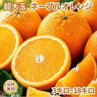 ネーブルオレンジ 　オーストラリア産　3kg 6kg 9kg 18kg 選べる サイズ 中玉 大玉 小玉 超大玉 果物 柑橘