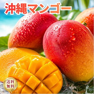 ����}���S�[ 2L�T�C�Y ��400g ���ꌧ�Y ���Y �}���S�[ ���n ��� �Â� �Z�� �t���[�c ������ �M�t�g