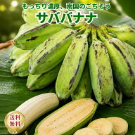 【フィリピン産　送料無料】サババナナ　カルダババナナ　加工用　約10キロ　料理用　もっちりバナナ