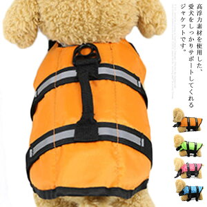 p CtWPbg ^ ^  V j CtxXg t[eBOxXg C  ~ ˃C S ̖h~ S nr pi ybgpi 