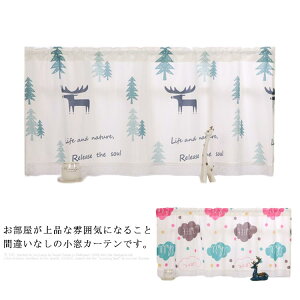 JtFJ[e J[e p J[e ԕ ډB Ռ  fR[V JtF iX Lb`p  p ʏ ˂_Ȃ