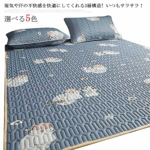 ~pbh Ђ ڐG⊴ VO 100×200cm N[pbh ėp  Q VRebNX ܂肽 Jo[t RۖhL h_j z 􂦂  킢 n p