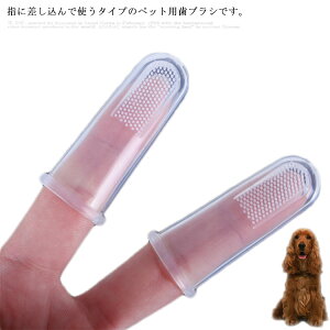 p wuV 10Zbg ybgp VR  oPA _炩 \tg ^ ^  L ˂ ݂   S  LA΁AaA\h