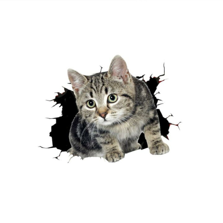 楽天市場 送料無料 カーステッカー 車 ステッカー バイク ステッカー 3d 猫 可愛い 防水 飛び出す猫 壁 インパクト キズ隠し 面白い ウォール ステッカー トイレ 剥がせる 冷蔵庫 インテリアシール Ikeike0チェスト 楽天市場 送料無料 カーステッカー 車 ステッカー バイク ステッカー 3d 猫 可愛い 防水 飛び出す猫 壁 インパクト キズ隠し 面白い ウォール ステッカー トイレ 剥がせる 冷蔵庫 インテリアシール Ikeike0チェスト