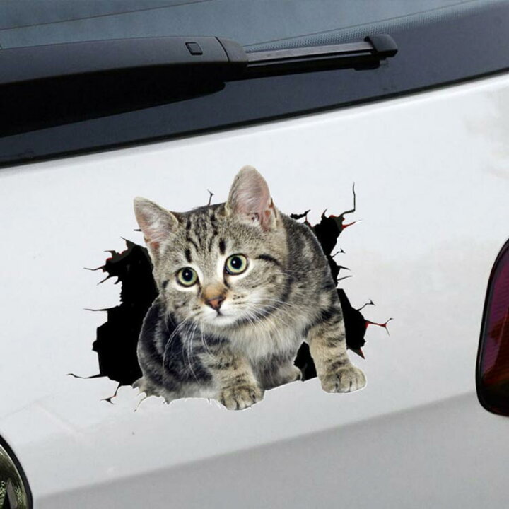 楽天市場 送料無料 カーステッカー 車 ステッカー バイク ステッカー 3d 猫 可愛い 防水 飛び出す猫 壁 インパクト キズ隠し 面白い ウォール ステッカー トイレ 剥がせる 冷蔵庫 インテリアシール Ikeike0チェスト 楽天市場 送料無料 カーステッカー 車 ステッカー バイク ステッカー 3d 猫 可愛い 防水 飛び出す猫 壁 インパクト キズ隠し 面白い ウォール ステッカー トイレ 剥がせる 冷蔵庫 インテリアシール Ikeike0チェスト