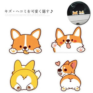  S4^Cv J[XebJ[ R[M[ ԗp XebJ[  LYB   oCN X[cP[X oCNXebJ[  h ① Ƌ O