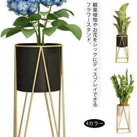 楽天市場 玄関 花台 フラワースタンド 園芸ラック ガーデニング 農業 花 ガーデン Diyの通販 楽天市場 玄関 花台 フラワースタンド 園芸ラック ガーデニング 農業 花 ガーデン Diyの通販