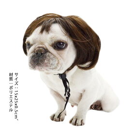 楽天市場 犬 カツラの通販