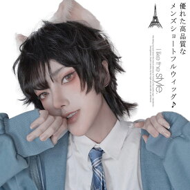 ウィッグ コスプレ 変装 フルウィッグ メンズ ウィッグ ショート 短い髪 cosplay 黒 おしゃれ レディース ハロウィン かつら カツラ 仕事 面接 おしゃれ