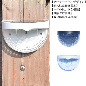 LED \[[Cg \[[[dfbLCg tFXCg K[fCg Oh R[hXtȒP  Ki ʘH obN[h tFX  fbL ԏ    ~` 
