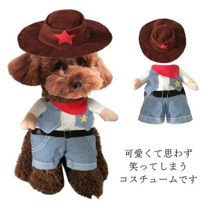 RX`[  RXv  EGX^ 2_Zbg nbgt JE{[C  2s ybg ϐg ^ ObY ߑ  oGeB[ ybg m 