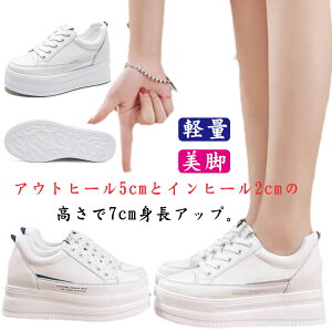  ₷ Cq[ 7cmgAbv V[Y V[Y ҂ݏグ fB[X C 7cmgAbv [XAbv V[NbgV[Y Ȃ Xj[J[  r