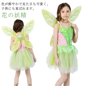 _X  vZXhX  VY LbY H Ԃ̗d nEBߑ q ̎q RX`[ d K[Y Ԃ̗d qǂhX Vg 90 100 110 120 130 140