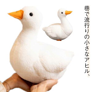 R[_bN  Ђ q  킢 s {݂ ߋ  v[g  a