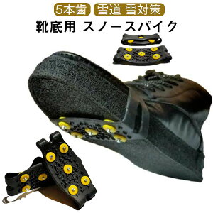 ~ XpCN q ȒP ᓹ ΍ 5{ ׂ~ Xj[J[ l Cp Cp V[YXpCN C ACXXpCN pvX  ʊw ʋ