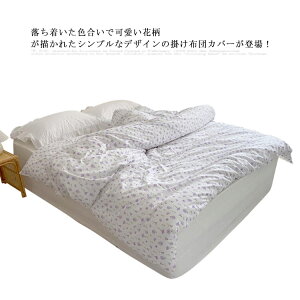 |zcJo[ ԕ t[ VO Z~_u 􂦂 xbh k   GKg _炩  lGʗp I[V[Y Rbg  p[v