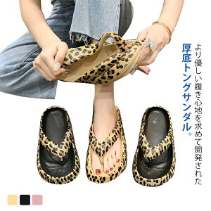 qE Ip[h tBbglX X|[cT_ EVA T_ r[`T_ gOT_  fB[X AEghA Lv X|[c _ g[jO ₷ IV