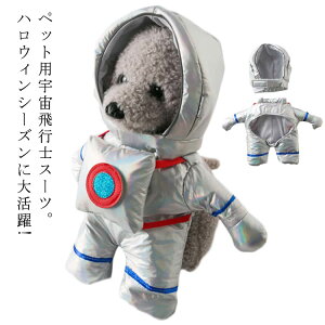  nEB F RXv Fsm RX`[  H   ϑ hbOEGA ~ NX}X t`uhbO  v[g