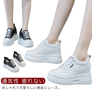 10cm gAbv 40 wȂ  EH[LOV[Y V[Y fB[X jO Xj[J[ bV Xj[J[ Cq[ r Xj[J[ V[Y t  H ~ 