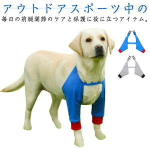 Op Œ ybg ֐ߕی ֐߃T|[^[  pGT|[^[ ֐߃veN^[ GT|[^[ V pi h~ ^ ^ ^ ۉ