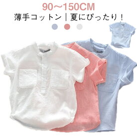 120 立ち襟シャツ トップス 薄手 シャツ コットンシャツ 男の子 キッズ キッズ 子供服 綿 ガーゼ シャツ 夏用 半袖 男児 90 100 110 キッズシャツ 130 140 150