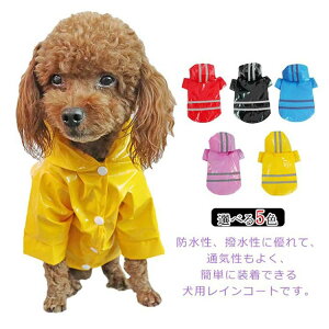  CR[g CEFA ^ ^ q hbOEFA Ԕ J Jbp  t[ht  J̓ h ~J΍ Ot Up  ʋC