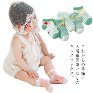 xr[ q C V[g 5Zbg LbY \bNX t ̎q j̎q bV ۈ牀 ct w  킢 ʉʊw Jt ʋC RۖhL z