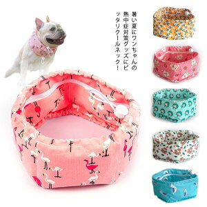   N[lbN N[o_i lbNN[[ ^ ^ ^ ^ MǑ΍ ₦  킢 ۗܕt Ђ p    