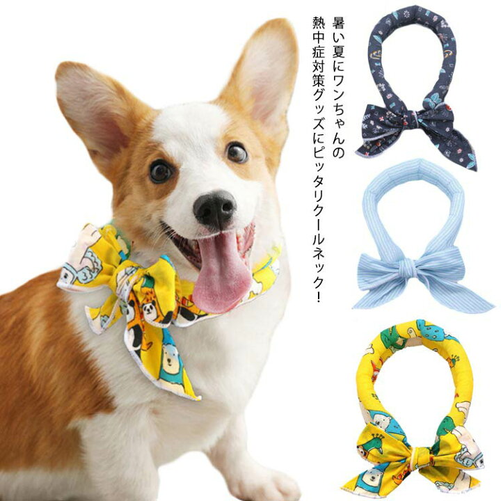 楽天市場 犬 猫 夏 クールネック クールバンダナ 2点セット ネッククーラー 小型犬 中型犬 熱中症対策 冷える おしゃれ かわいい 水に浸すタイプ ひんやり ペット用品 首輪 涼感 涼しい Ikeike0チェスト
