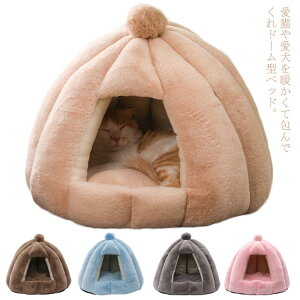 ybgnEX ybgxbh h[^ ~ t[X  ӂӂ {A L xbh eg  q g 􂦂 LbgnEX Lp nEX ^ ybgnEX  h[