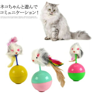 Lp  ˂ }EX  ܂ lY~ Lp  lR  ߋ V ybgpi ybgObY ^s