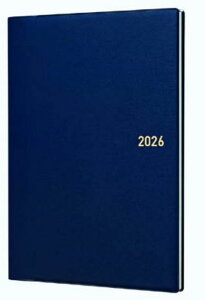 2026N1n܂u[_CA[ELL蒠 rWlX Vv g₷ ^ixoc _CA[ XPW[